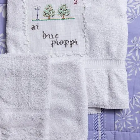 Apartment Ai Due Pioppi