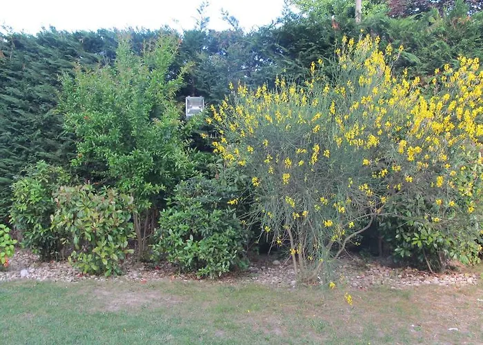 Ai Due Pioppi 아파트